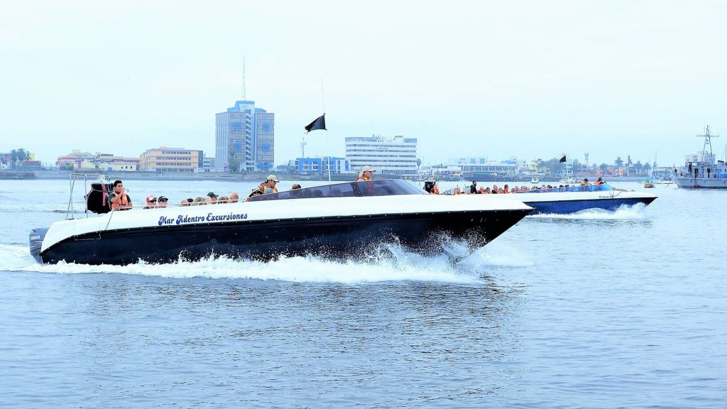 Swim with Sea Lions in Lima's Most Incredible Marine Wildlife Adventure